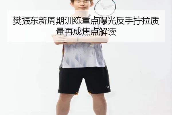 樊振东新周期训练重点曝光反手拧拉质量再成焦点解读